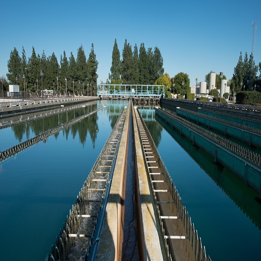 Report239_SpecialDistricts_s